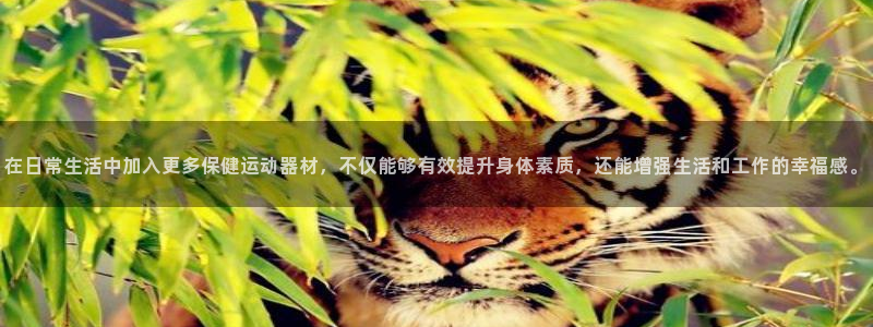 熊猫体育五金厂:在日常生活中加入更多保健运动器材,不仅能够有